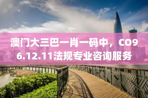 澳门大三巴一肖一码中，CO96.12.11法规专业咨询服务