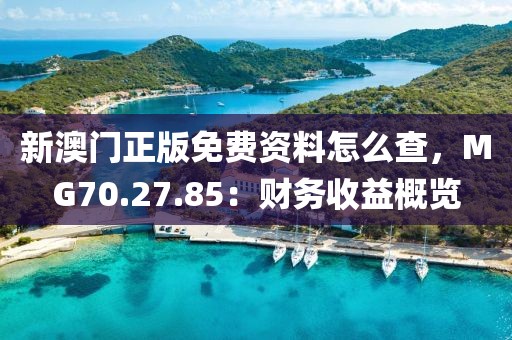 新澳门正版免费资料怎么查，MG70.27.85：财务收益概览