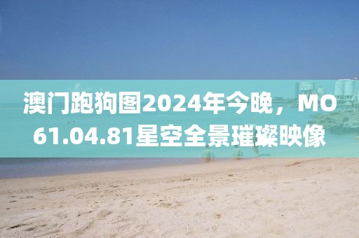 澳门跑狗图2024年今晚，MO61.04.81星空全景璀璨映像