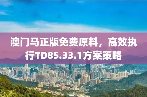 澳门马正版免费原料，高效执行TD85.33.1方案策略