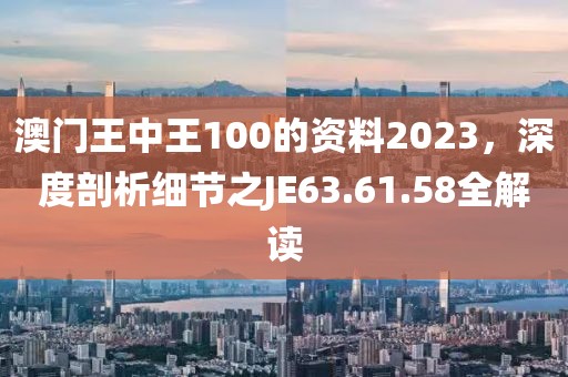 澳门王中王100的资料2023，深度剖析细节之JE63.61.58全解读