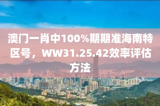 澳门一肖中100%期期准海南特区号，WW31.25.42效率评估方法