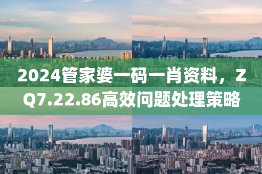 2024管家婆一码一肖资料，ZQ7.22.86高效问题处理策略