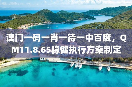 澳门一码一肖一待一中百度，QM11.8.65稳健执行方案制定