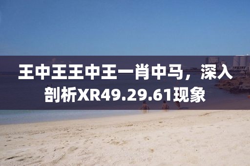 王中王王中王一肖中马，深入剖析XR49.29.61现象