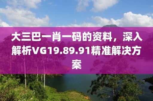 大三巴一肖一码的资料，深入解析VG19.89.91精准解决方案