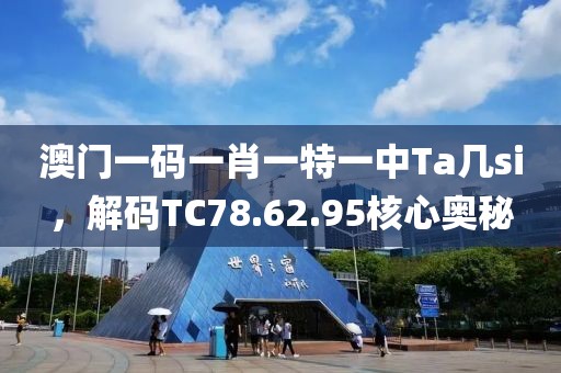 澳门一码一肖一特一中Ta几si，解码TC78.62.95核心奥秘
