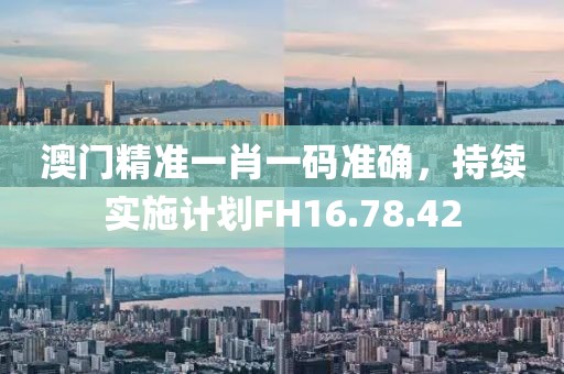 澳门精准一肖一码准确，持续实施计划FH16.78.42