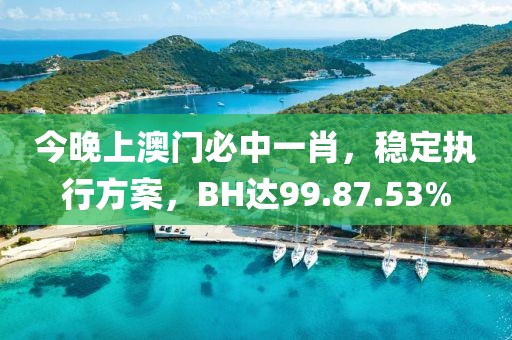 今晚上澳门必中一肖，稳定执行方案，BH达99.87.53%