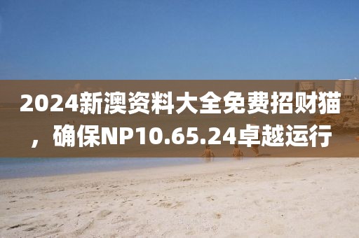 2024新澳资料大全免费招财猫，确保NP10.65.24卓越运行
