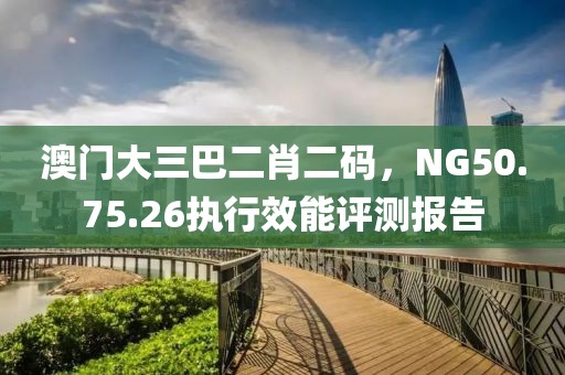 澳门大三巴二肖二码，NG50.75.26执行效能评测报告