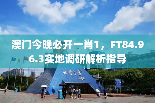 澳门今晚必开一肖1，FT84.96.3实地调研解析指导