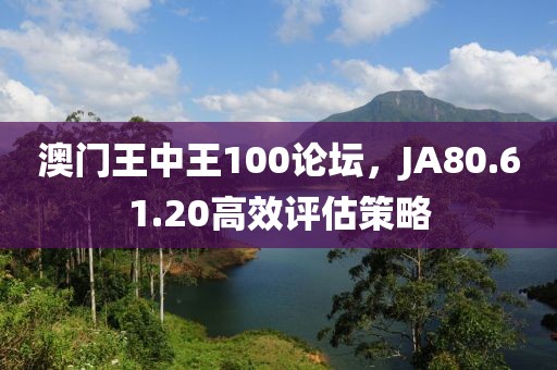 澳门王中王100论坛，JA80.61.20高效评估策略
