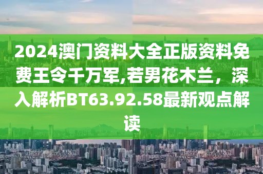 2024澳门资料大全正版资料免费王令千万军,若男花木兰，深入解析BT63.92.58最新观点解读