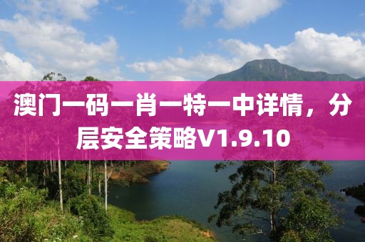 澳门一码一肖一特一中详情，分层安全策略V1.9.10