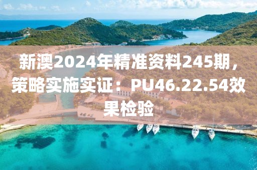 新澳2024年精准资料245期，策略实施实证：PU46.22.54效果检验