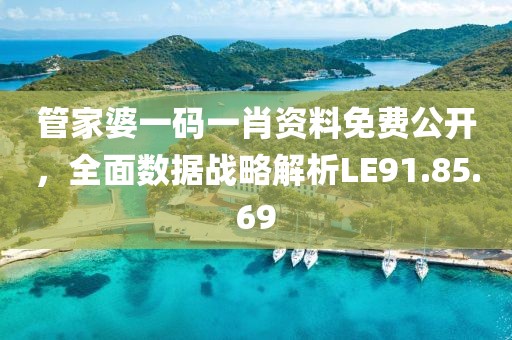 管家婆一码一肖资料免费公开，全面数据战略解析LE91.85.69