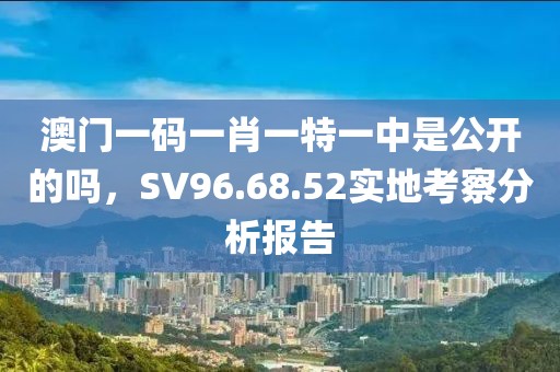 澳门一码一肖一特一中是公开的吗，SV96.68.52实地考察分析报告