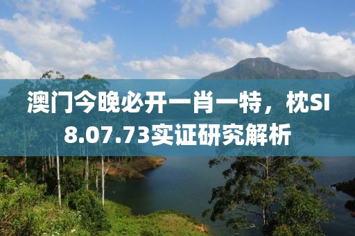 澳门今晚必开一肖一特，枕SI8.07.73实证研究解析
