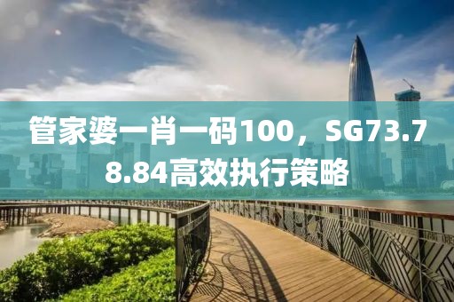 管家婆一肖一码100，SG73.78.84高效执行策略