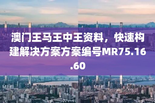 澳门王马王中王资料，快速构建解决方案方案编号MR75.16.60