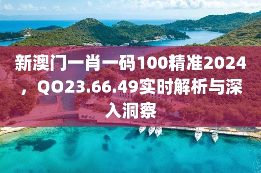 新澳门一肖一码100精准2024，QO23.66.49实时解析与深入洞察