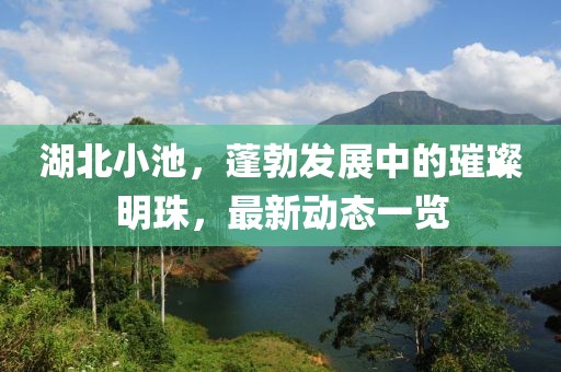 湖北小池，蓬勃发展中的璀璨明珠，最新动态一览