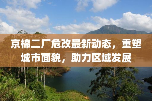 京棉二厂危改最新动态，重塑城市面貌，助力区域发展