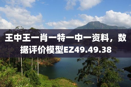 王中王一肖一特一中一资料，数据评价模型EZ49.49.38