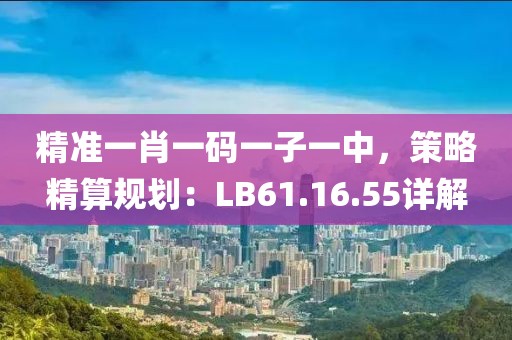 精准一肖一码一子一中，策略精算规划：LB61.16.55详解