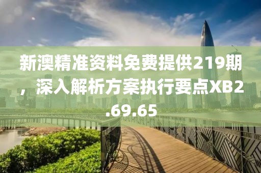 新澳精准资料免费提供219期，深入解析方案执行要点XB2.69.65