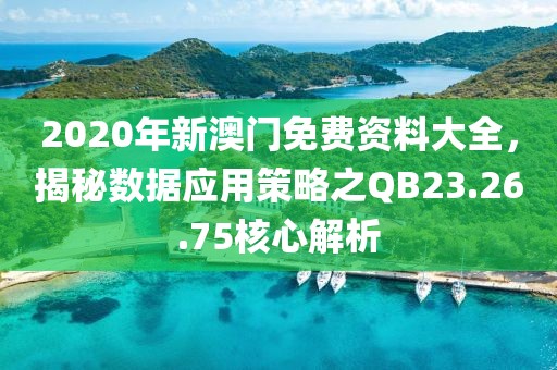 2020年新澳门免费资料大全，揭秘数据应用策略之QB23.26.75核心解析