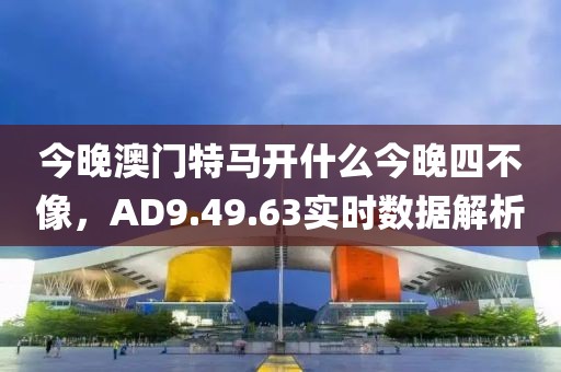 业务范围 第503页