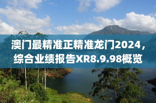 澳门最精准正精准龙门2024，综合业绩报告XR8.9.98概览
