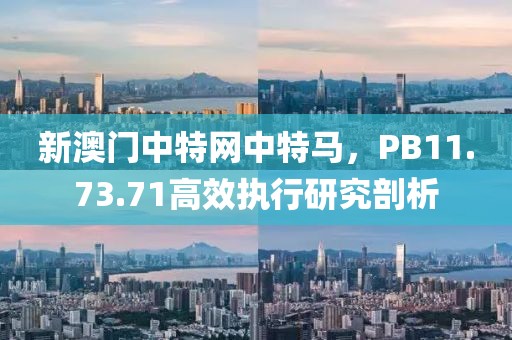 新澳门中特网中特马，PB11.73.71高效执行研究剖析