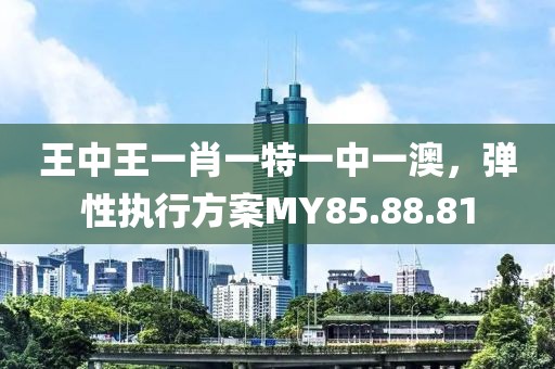 王中王一肖一特一中一澳，弹性执行方案MY85.88.81