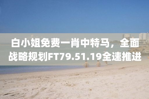 白小姐免费一肖中特马，全面战略规划FT79.51.19全速推进