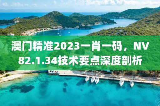 澳门精准2023一肖一码，NV82.1.34技术要点深度剖析