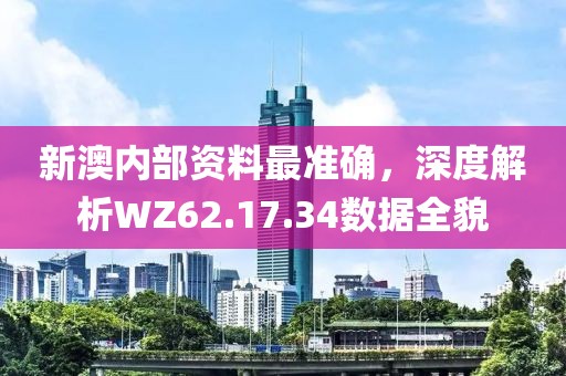 新澳内部资料最准确，深度解析WZ62.17.34数据全貌