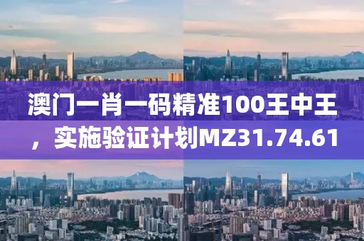 澳门一肖一码精准100王中王，实施验证计划MZ31.74.61