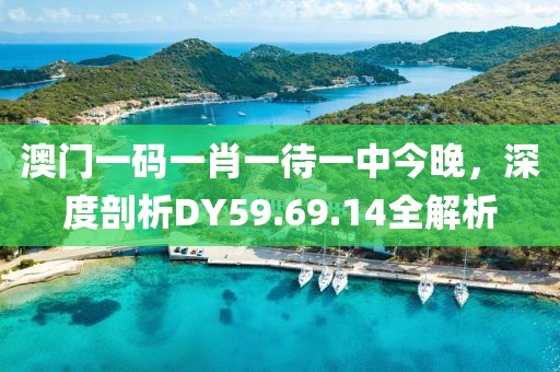 澳门一码一肖一待一中今晚，深度剖析DY59.69.14全解析