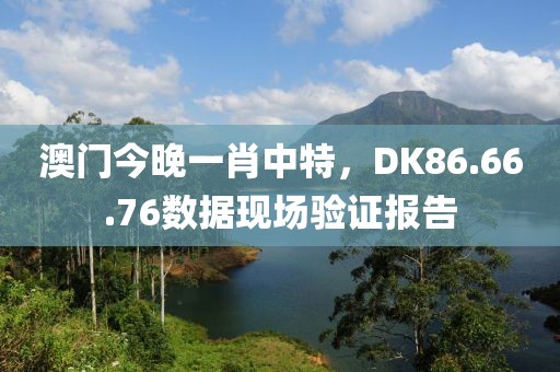 澳门今晚一肖中特，DK86.66.76数据现场验证报告