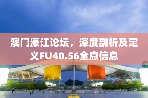 澳门濠江论坛，深度剖析及定义FU40.56全息信息