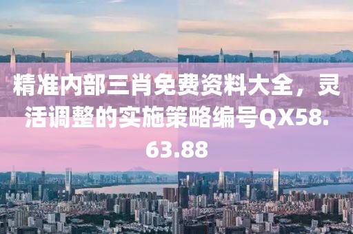 精准内部三肖免费资料大全，灵活调整的实施策略编号QX58.63.88