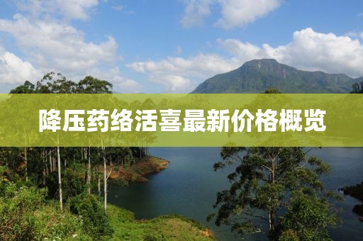 降压药络活喜最新价格概览