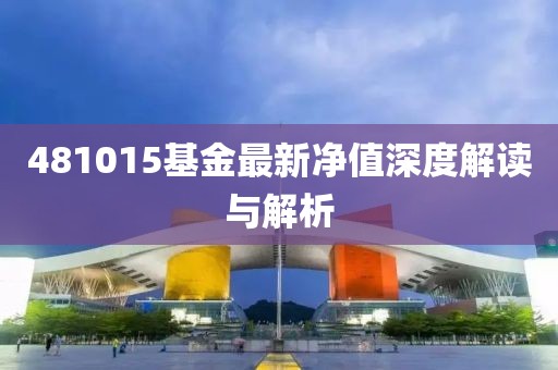481015基金最新净值深度解读与解析