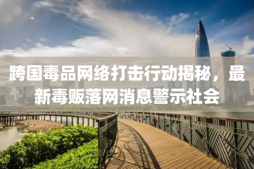 跨国毒品网络打击行动揭秘，最新毒贩落网消息警示社会