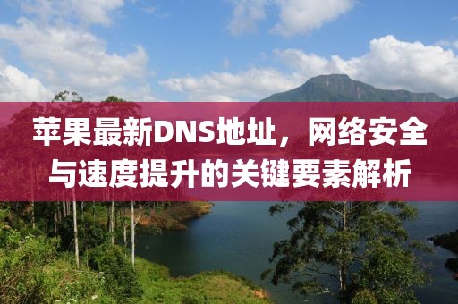 苹果最新DNS地址，网络安全与速度提升的关键要素解析
