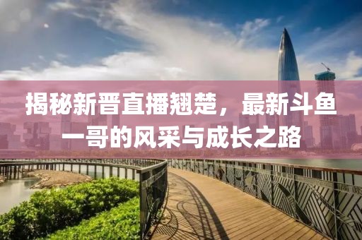 揭秘新晋直播翘楚，最新斗鱼一哥的风采与成长之路