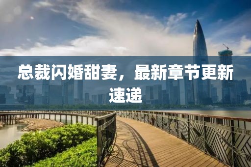 总裁闪婚甜妻，最新章节更新速递